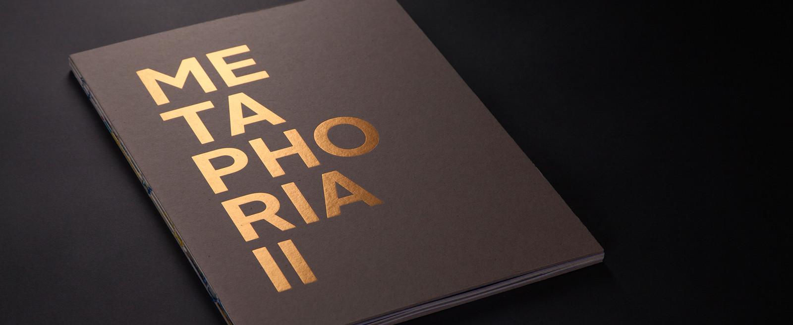 Metaphoria II, visiting the exhibition through a catalog