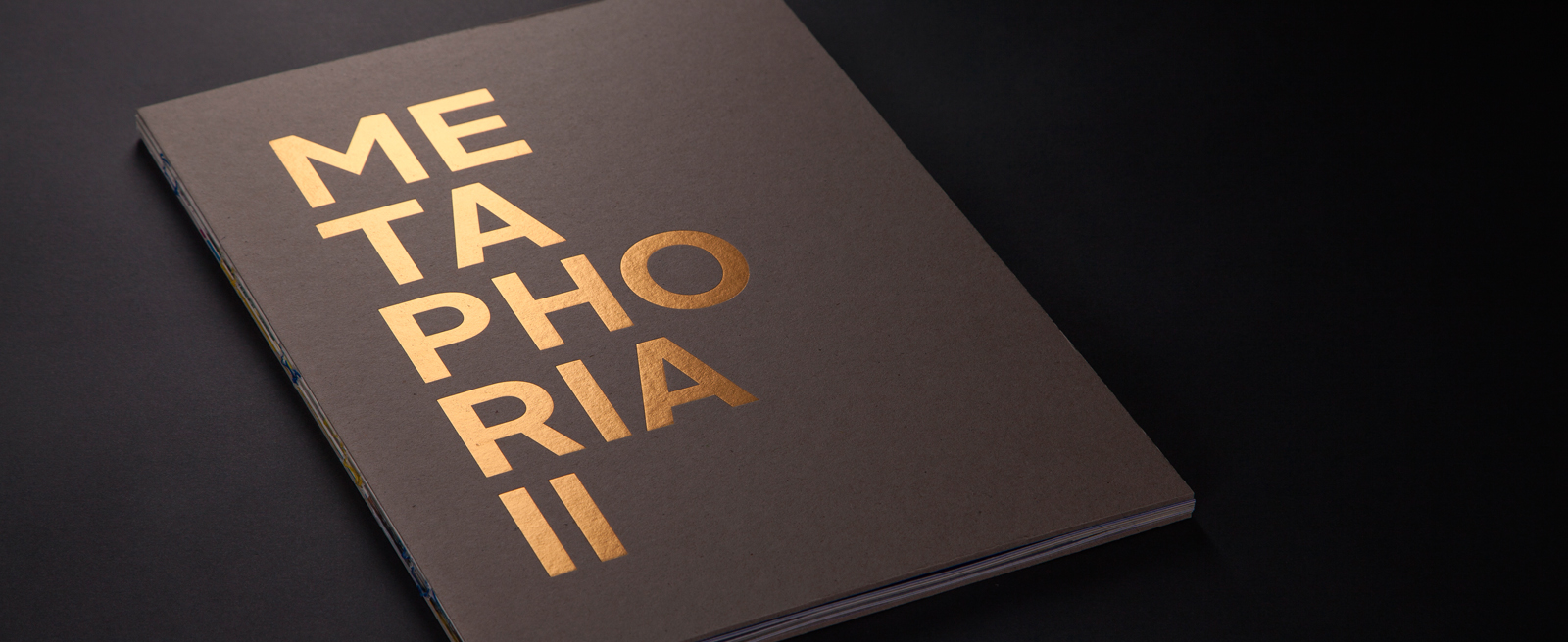 Metaphoria II, visiting the exhibition through a catalog