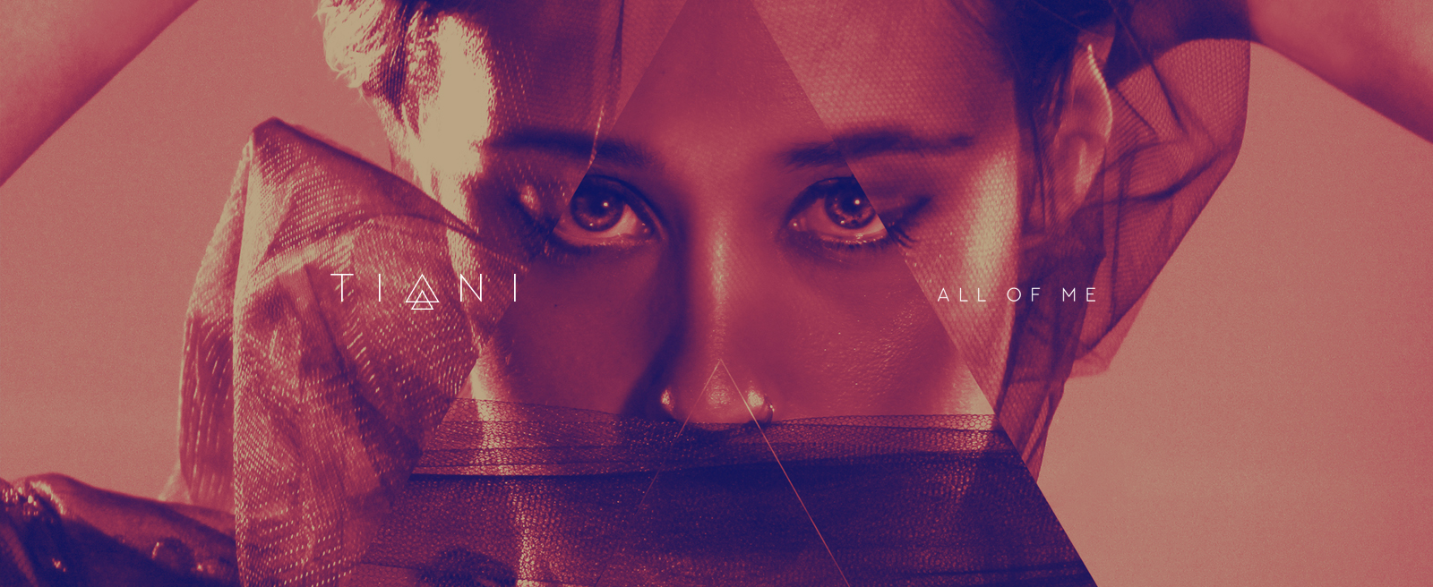 Artwork 4 Tiani