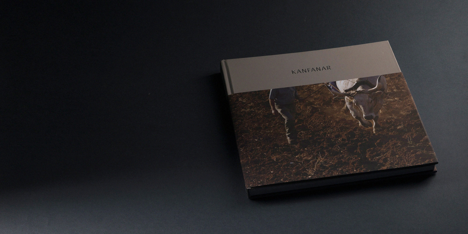 Kanfanar monograph among the 25 best designed books in 2018