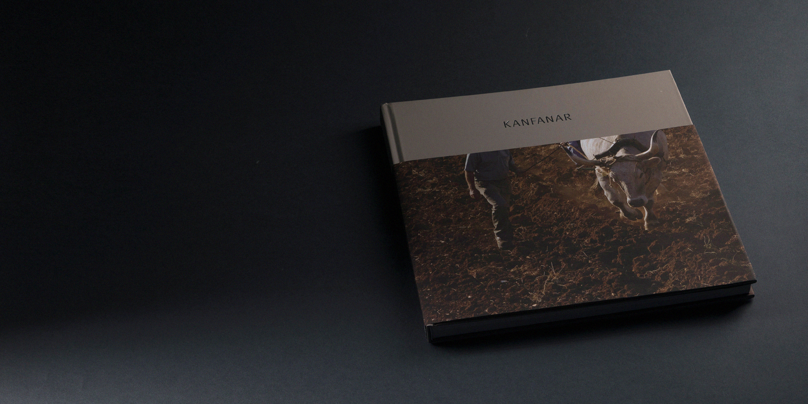 Kanfanar monograph among the 25 best designed books in 2018
