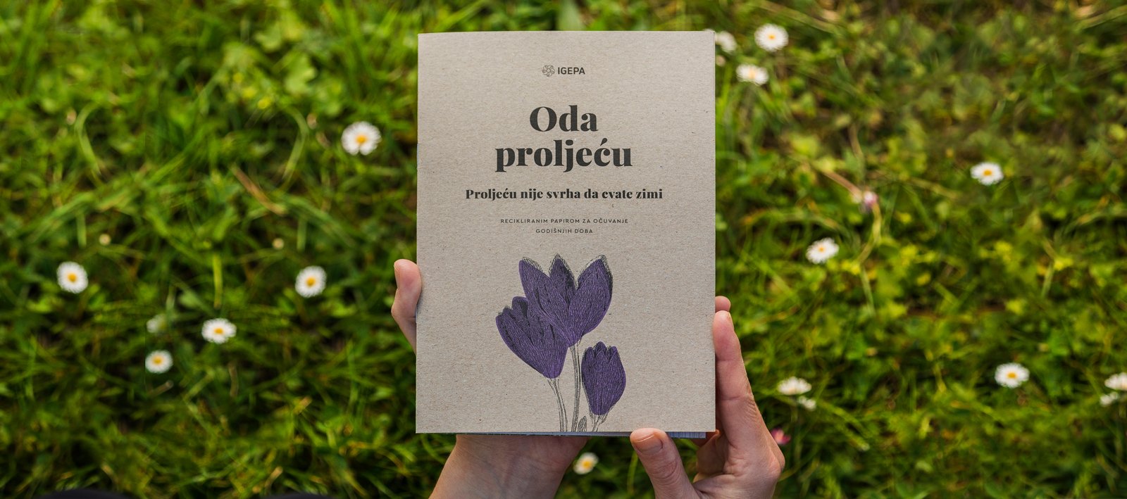 The Ode to the Spring